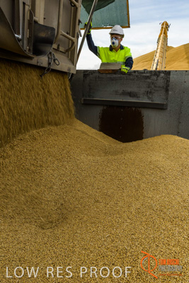 December 2016 / DOOEN_231_161214_DSC0284