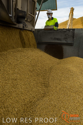 December 2016 / DOOEN_233_161214_DSC0286