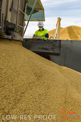 December 2016 / DOOEN_237_161214_DSC0292