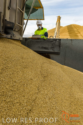 December 2016 / DOOEN_238_161214_DSC0293