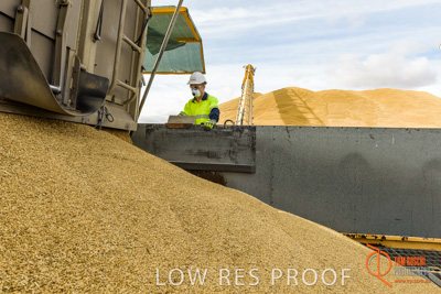 December 2016 / DOOEN_239_161214_DSC0295