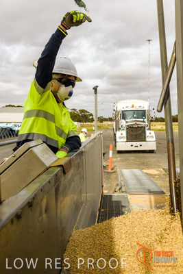 December 2016 / DOOEN_259_161214_DSC0321