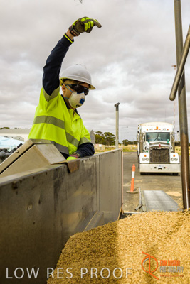 December 2016 / DOOEN_265_161214_DSC0330