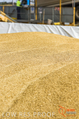 December 2016 / DOOEN_273_161214_DSC0352