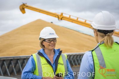 December 2016 / WOLSELEY_092_161214_DSC0518