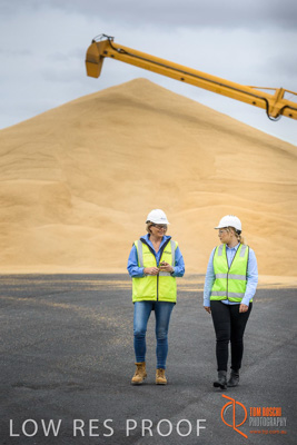 December 2016 / WOLSELEY_232_161214_DSC0825