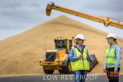 December 2016 / WOLSELEY_247_161214_DSC0847