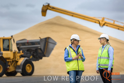 December 2016 / WOLSELEY_255_161214_DSC0858