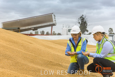 December 2016 / WOLSELEY_300_161214_DSC0989