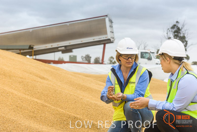 December 2016 / WOLSELEY_302_161214_DSC0992