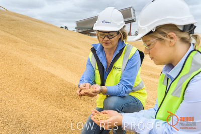 December 2016 / WOLSELEY_303_161214_DSC0995