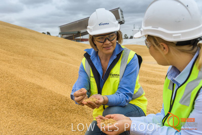 December 2016 / WOLSELEY_306_161214_DSC1000