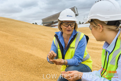 December 2016 / WOLSELEY_313_161214_DSC1016