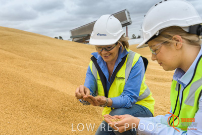 December 2016 / WOLSELEY_314_161214_DSC1017