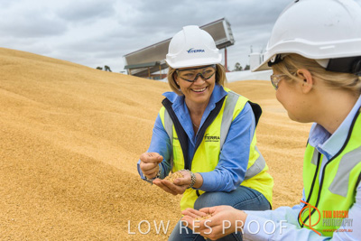 December 2016 / WOLSELEY_315_161214_DSC1018