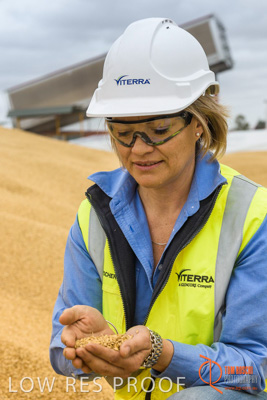 December 2016 / WOLSELEY_321_161214_DSC1036