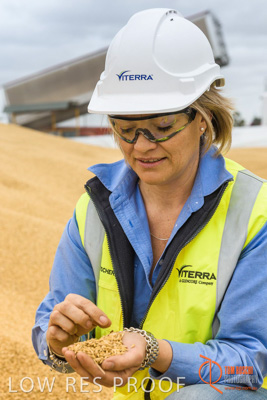 December 2016 / WOLSELEY_322_161214_DSC1039