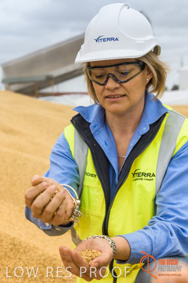 December 2016 / WOLSELEY_323_161214_DSC1043