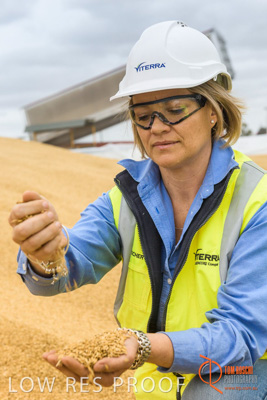 December 2016 / WOLSELEY_327_161214_DSC1050