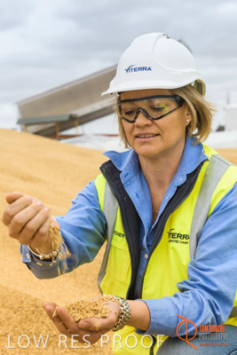 December 2016 / WOLSELEY_329_161214_DSC1054