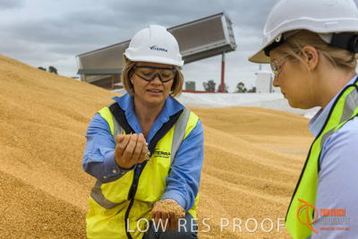 December 2016 / WOLSELEY_332_161214_DSC1059