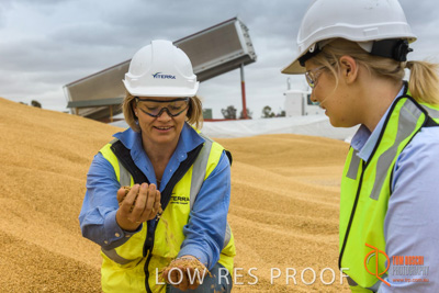 December 2016 / WOLSELEY_340_161214_DSC1075