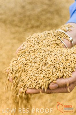 December 2016 / WOLSELEY_345_161214_DSC1083