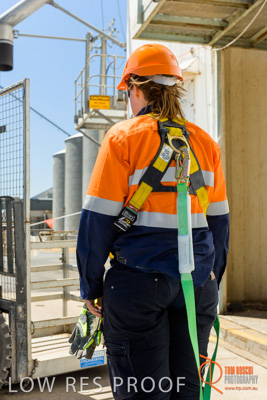 January 2017 / CONTRACTORS_TAILEMBEND_362_170104