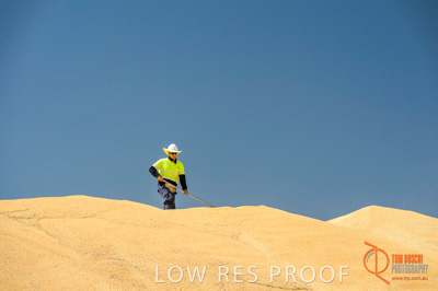 January 2017 / CONTRACTORS_TAILEMBEND_414_170104