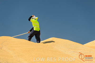 January 2017 / CONTRACTORS_TAILEMBEND_415_170104