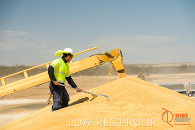 January 2017 / CONTRACTORS_TAILEMBEND_419_170104