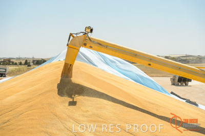 January 2017 / CONTRACTORS_TAILEMBEND_423_170104