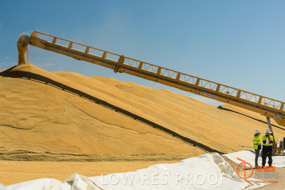 January 2017 / CONTRACTORS_TAILEMBEND_432_170104