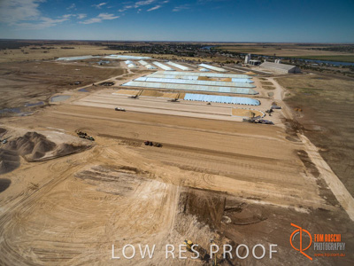 January 2017 / TAILEMBEND_009_170104