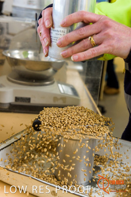 April 2017 / CLASSING_HUT_030_170427