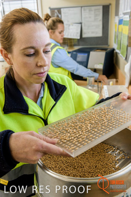 April 2017 / CLASSING_HUT_034_170427