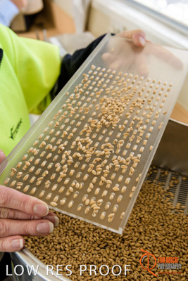 April 2017 / CLASSING_HUT_042_170427