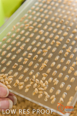 April 2017 / CLASSING_HUT_044_170427