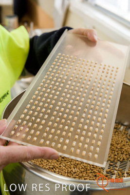 April 2017 / CLASSING_HUT_049_170427