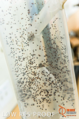 April 2017 / CLASSING_HUT_145_170427