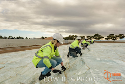 April 2017 / TARP_PULLING_017_170427