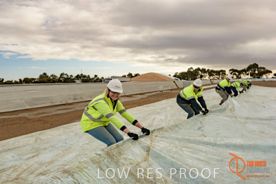 April 2017 / TARP_PULLING_020_170427