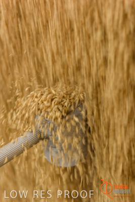 April 2017 / TRUCK_UNLOADING_SAMPLING_015_170427