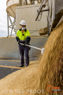 April 2017 / TRUCK_UNLOADING_SAMPLING_055_170427