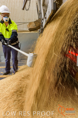 April 2017 / TRUCK_UNLOADING_SAMPLING_060_170427