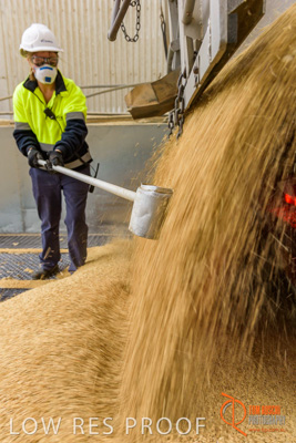 April 2017 / TRUCK_UNLOADING_SAMPLING_061_170427