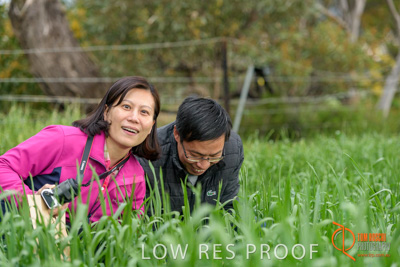 September 2017 / VITERRA_GCA_CHINESE_GOV_VISIT_162_170902