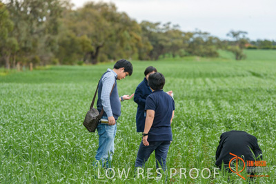 September 2017 / VITERRA_GCA_CHINESE_GOV_VISIT_176_170902