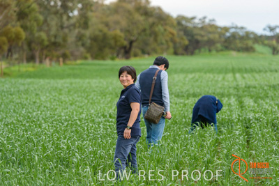 September 2017 / VITERRA_GCA_CHINESE_GOV_VISIT_177_170902