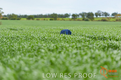 September 2017 / VITERRA_GCA_CHINESE_GOV_VISIT_182_170902